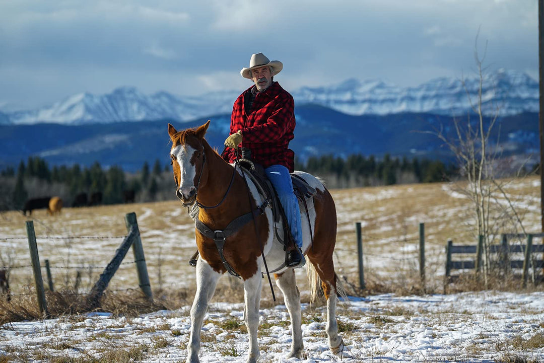 Heartland – Paradies für Pferde, Die komplette 8. Staffel, DVD