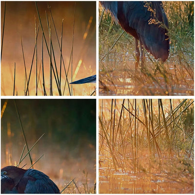 Bilder auf Leinwand 100x70cm Leinwandbild mit Rahmen Vogel Natur Wasser Gross Wanddeko Bild Schlafzi