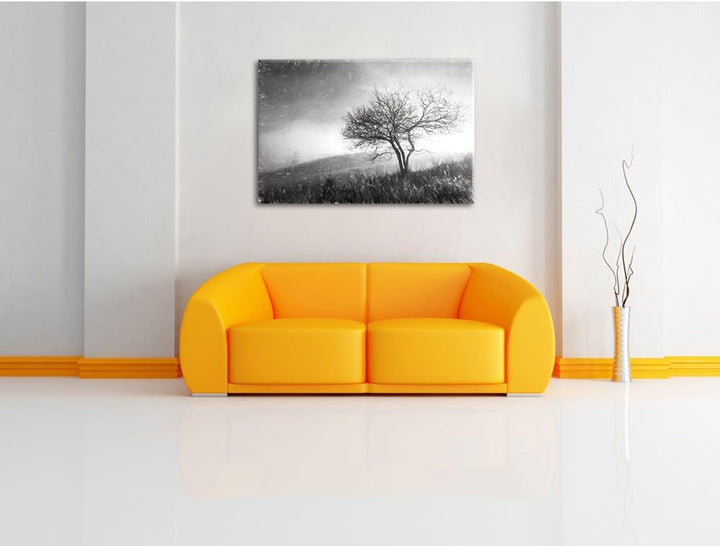 Pixxprint Baum in Landschaft Kohle Effekt, Format: 100x70 auf Leinwand, 100x70