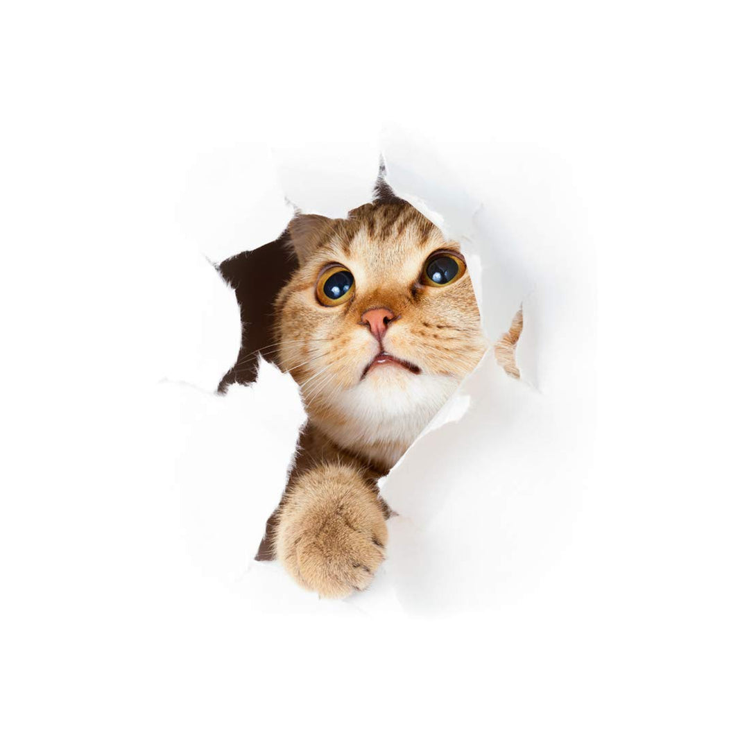 Sticker 3D Effekt | Wandaufkleber Katze - Tapete Dekoration optische Täuschung Raum und Wohnzimmer |
