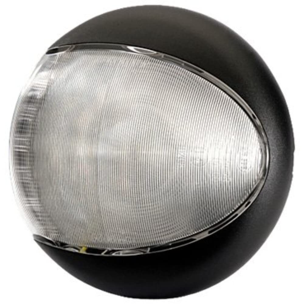 HELLA - LED-Rückfahrscheinwerfer - EuroLED - 24/12V - Anbau - 2-Punkt Befestigung - Kabel: 2500mm -