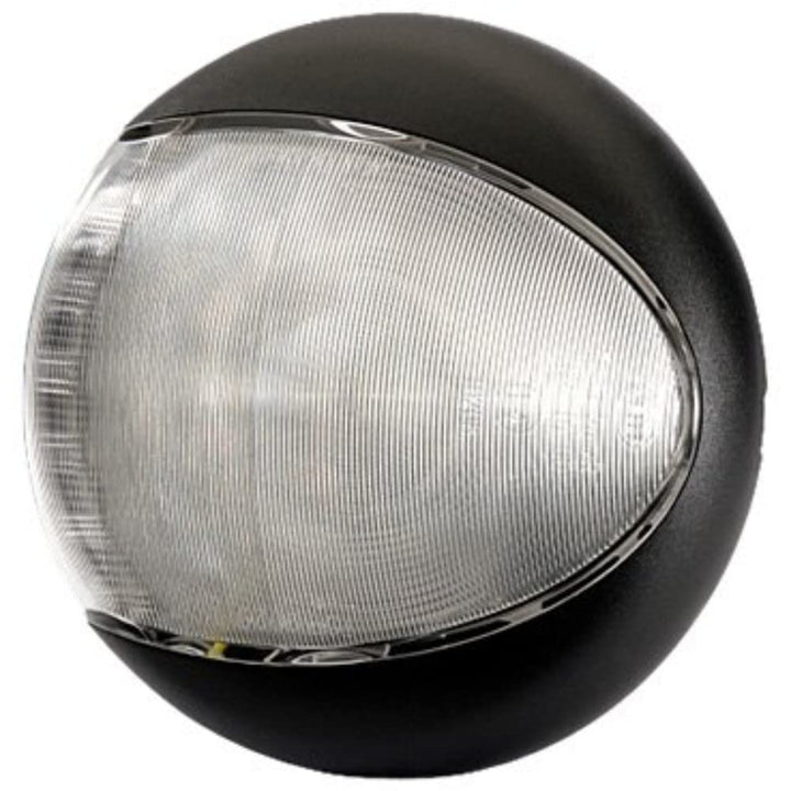 HELLA - LED-Rückfahrscheinwerfer - EuroLED - 24/12V - Anbau - 2-Punkt Befestigung - Kabel: 2500mm -