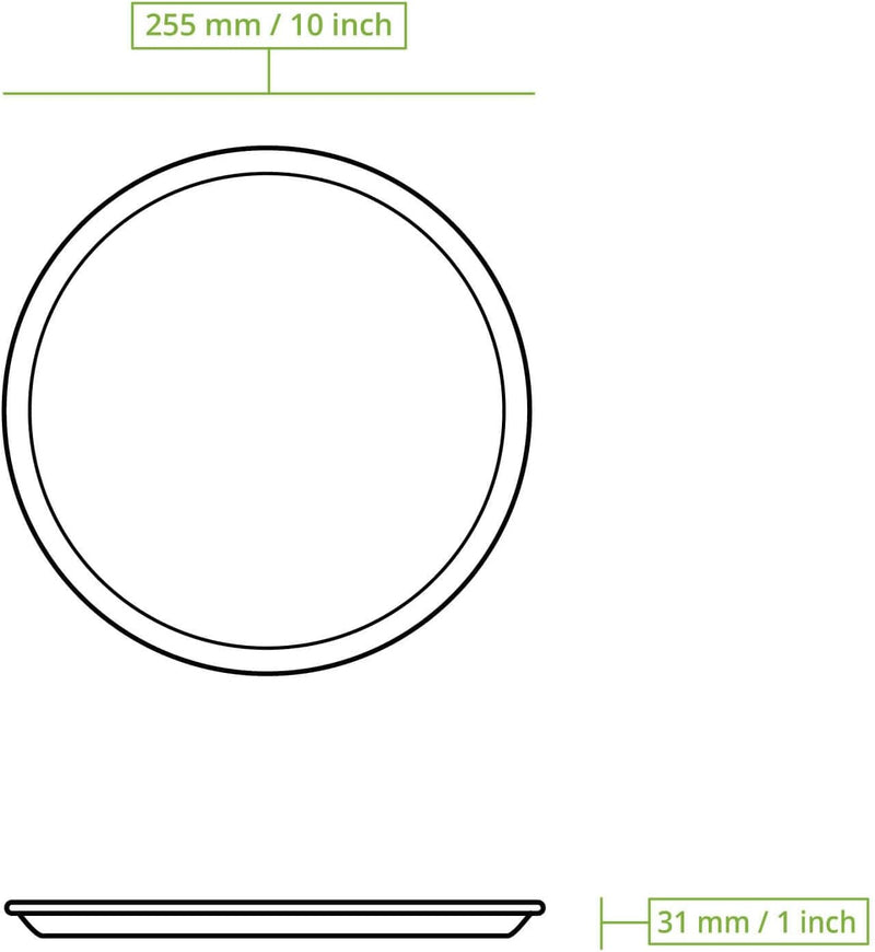 BIOZOYG Palmware Hochwertiges Palmblattgeschirr I 100 Stück Palmblatt Teller rund Ø 25 cm I Bio Einw