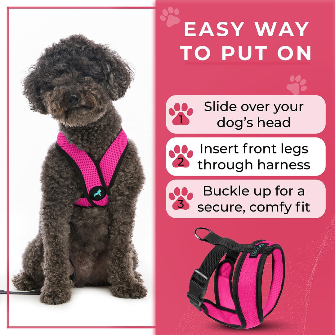 Gooby Comfort X Head In Harness - Flamingo Pink, Small - No Pull Kleines Hundegeschirr, Patentierter