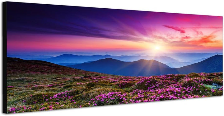 Paul Sinus Art Panoramabild auf Leinwand und Keilrahmen 150x50cm Ukraine Berge Blumenwiese Abendsonn