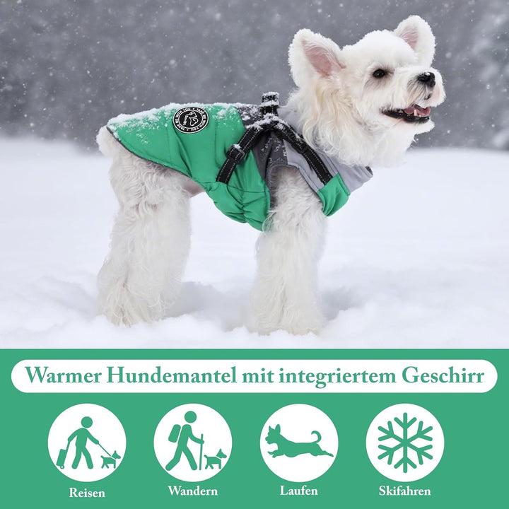 Hundemantel Winter Warm Wasserdicht Winddicht Reflektierend Hundejacke mit Geschirr für Kleine Hunde