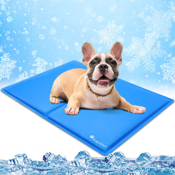 Angelpet Kühlmatte Hund, M 65x50cm – Ungiftige Selbstkühlende Gelmatte Bett, Langlebige wasserdichte