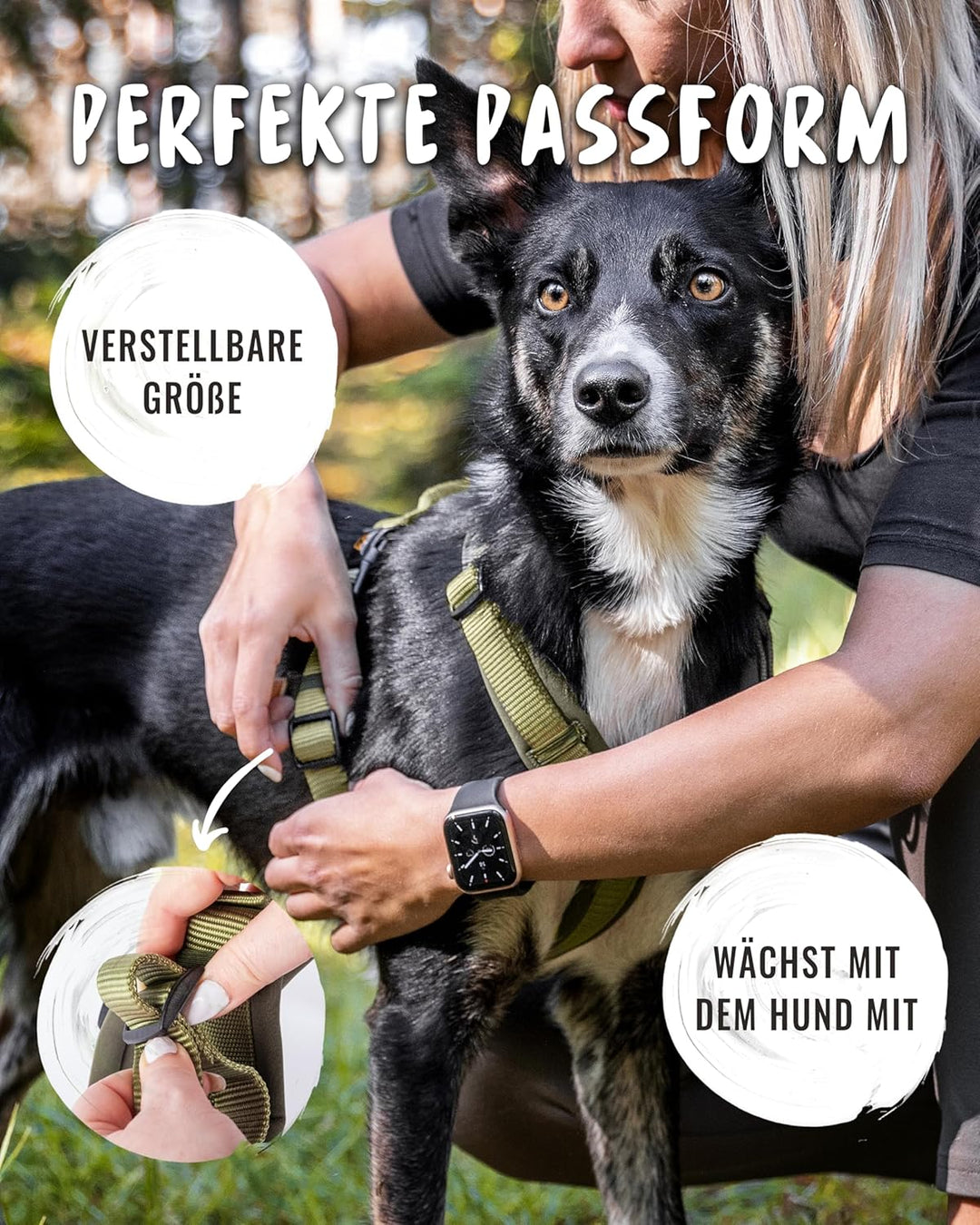 Rudelkönig Hundegeschirr Bella - Gepolstertes Brustgeschirr mit Haltegriff - Hunde Geschirr in Y-Des