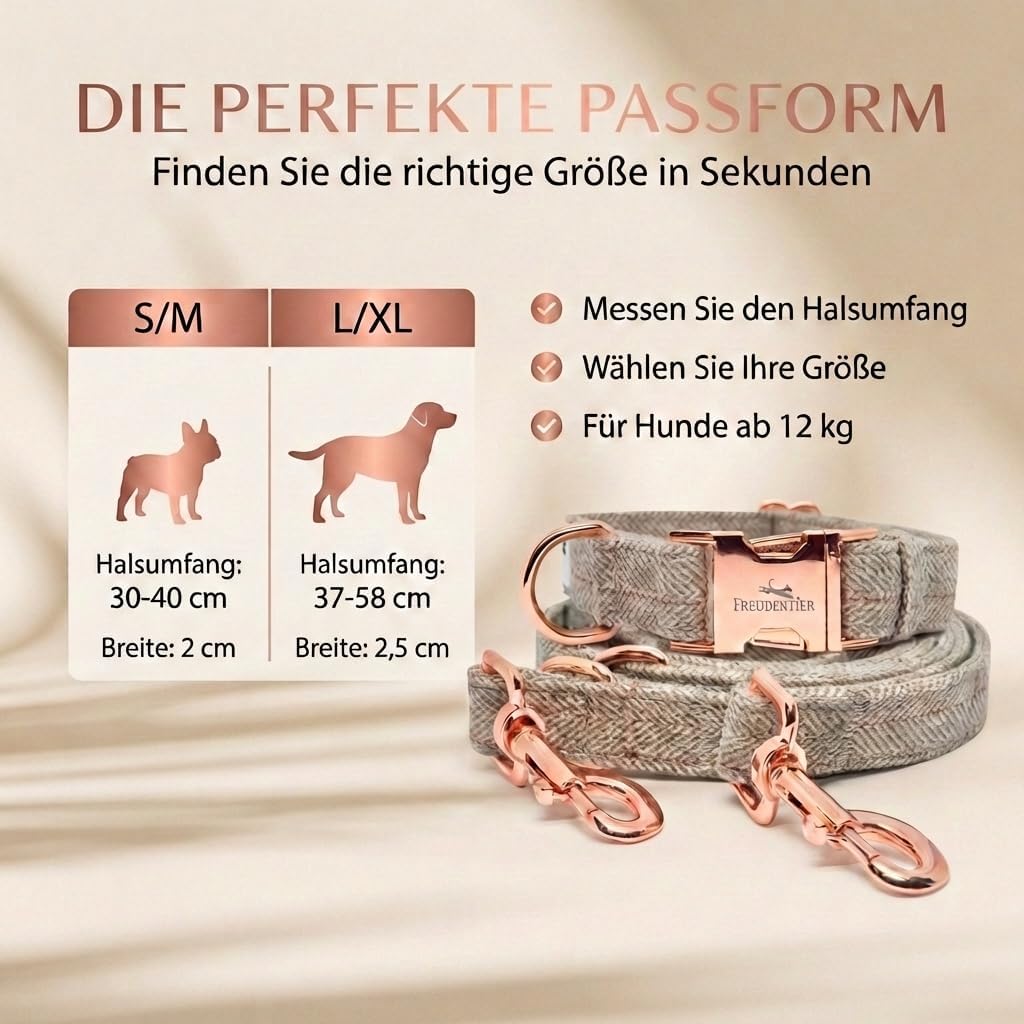 FREUDENTIER® Hundehalsband und Hundeleine im eleganten Set - 2m Leine, 3-Fach verstellbar - Robust &amp;