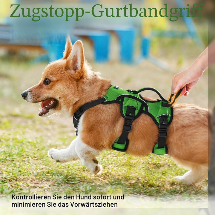 rabbitgoo Ausbruchsichere Hundegeschirr Kleine Hunde mit Griff, Anti Zug Sicherheitsgeschirr Hund At