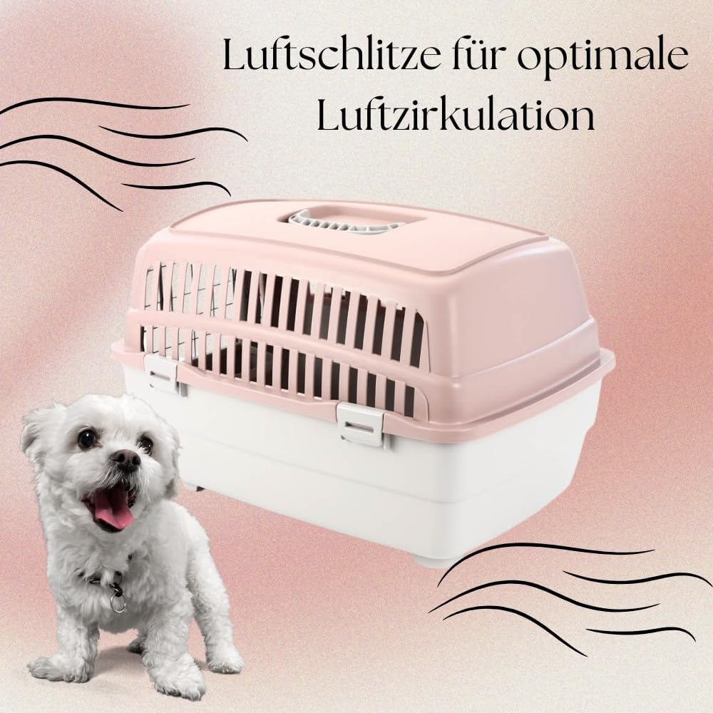 2er Set Transportbox IATA Flugbox Flugzeug Hundebox kleine Hunde Transportbox Katzen für 2 Tiertrans