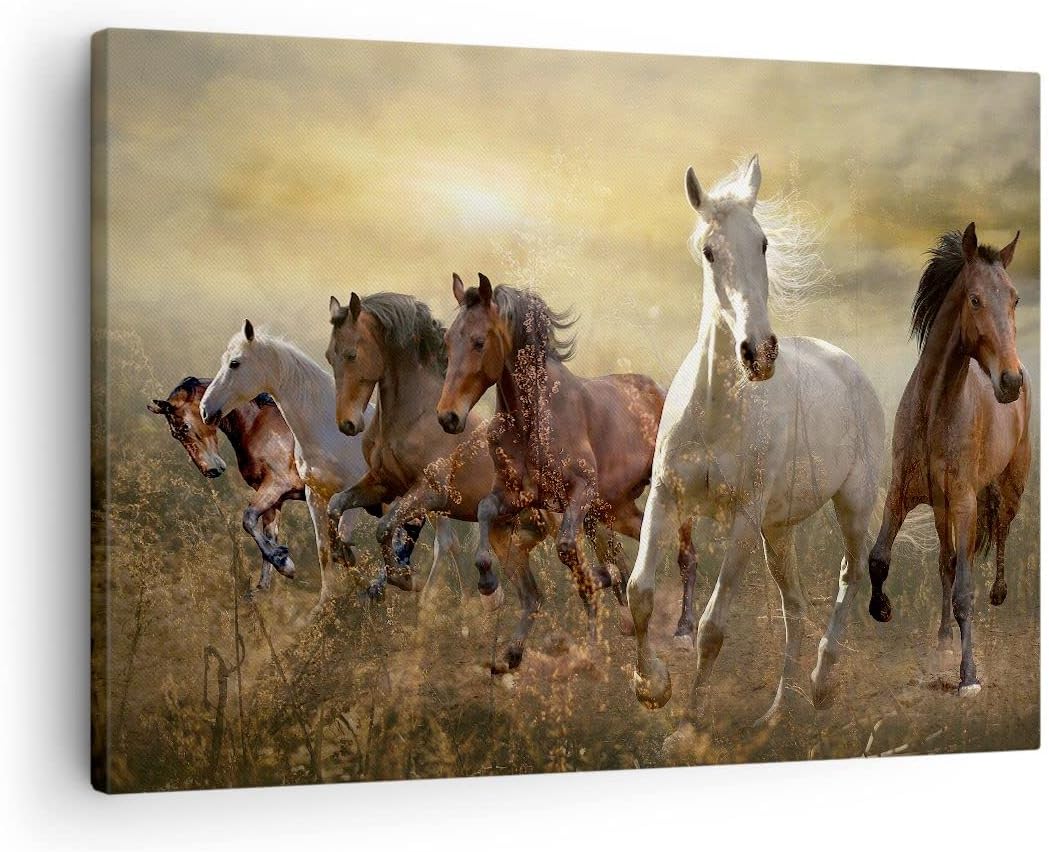 Bilder auf Leinwand Pferd Tier Natur Leinwandbild mit Rahmen 70x50cm Wandbilder Dekoration Wohnzimme