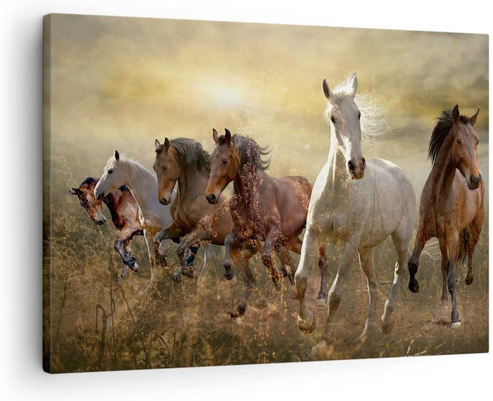 Bilder auf Leinwand Pferd Tier Natur Leinwandbild mit Rahmen 70x50cm Wandbilder Dekoration Wohnzimme