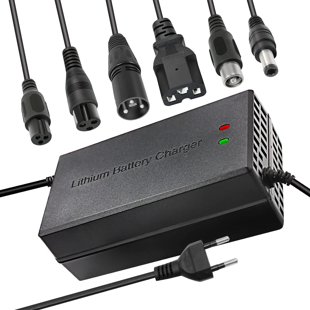 67.2V 5A Li-ion Ladegerät Mehrere Stecker Für Elektrofahrrad Roller E-Bike Boot Motorrad Batterielad