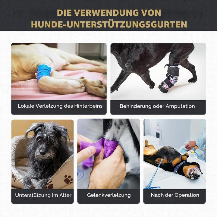 Verstellbares Hundegeschirr für Hinterbein–Stützgeschirr/Schlaufe mit Tragehilfe &amp;Griff für Behinder