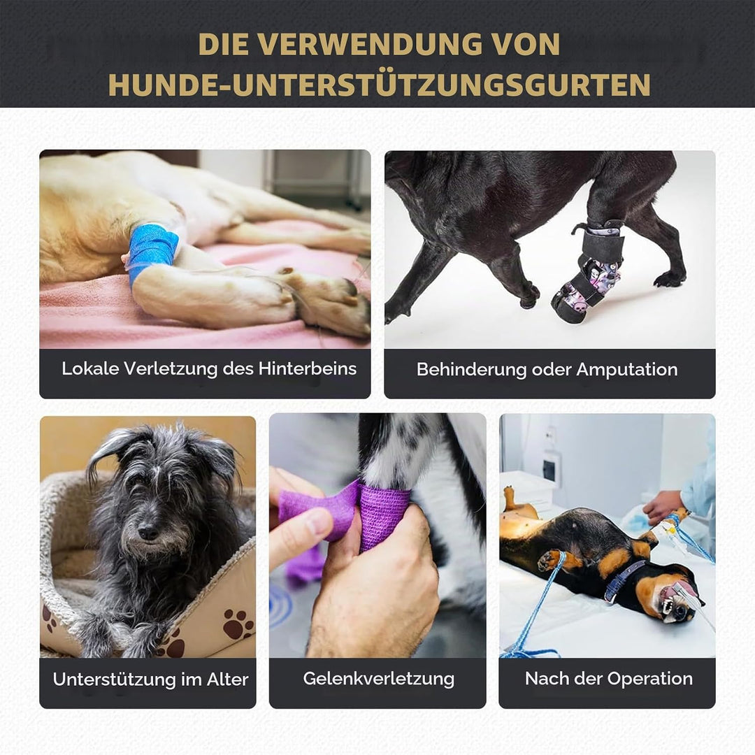 Verstellbares Hundegeschirr für Hinterbein–Stützgeschirr/Schlaufe mit Tragehilfe &amp;Griff für Behinder