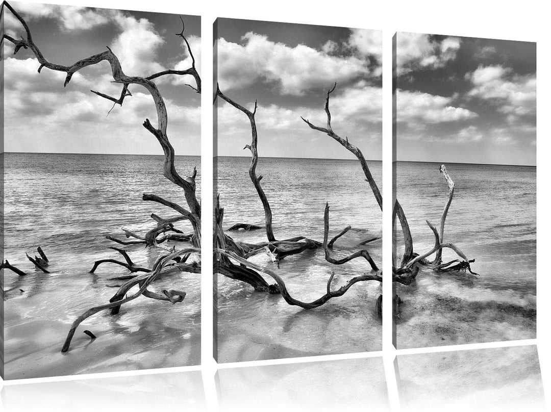 Pixxprint Monocrome, Strand Meer Havanna Kuba 3-Teiler Leinwandbild 120x80 Bild auf Leinwand