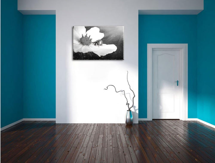 Pixxprint Marienkäfer auf Einer weissen Blume Kunst Kohle Effekt, Format: 100x70 auf Leinwand, XXL r