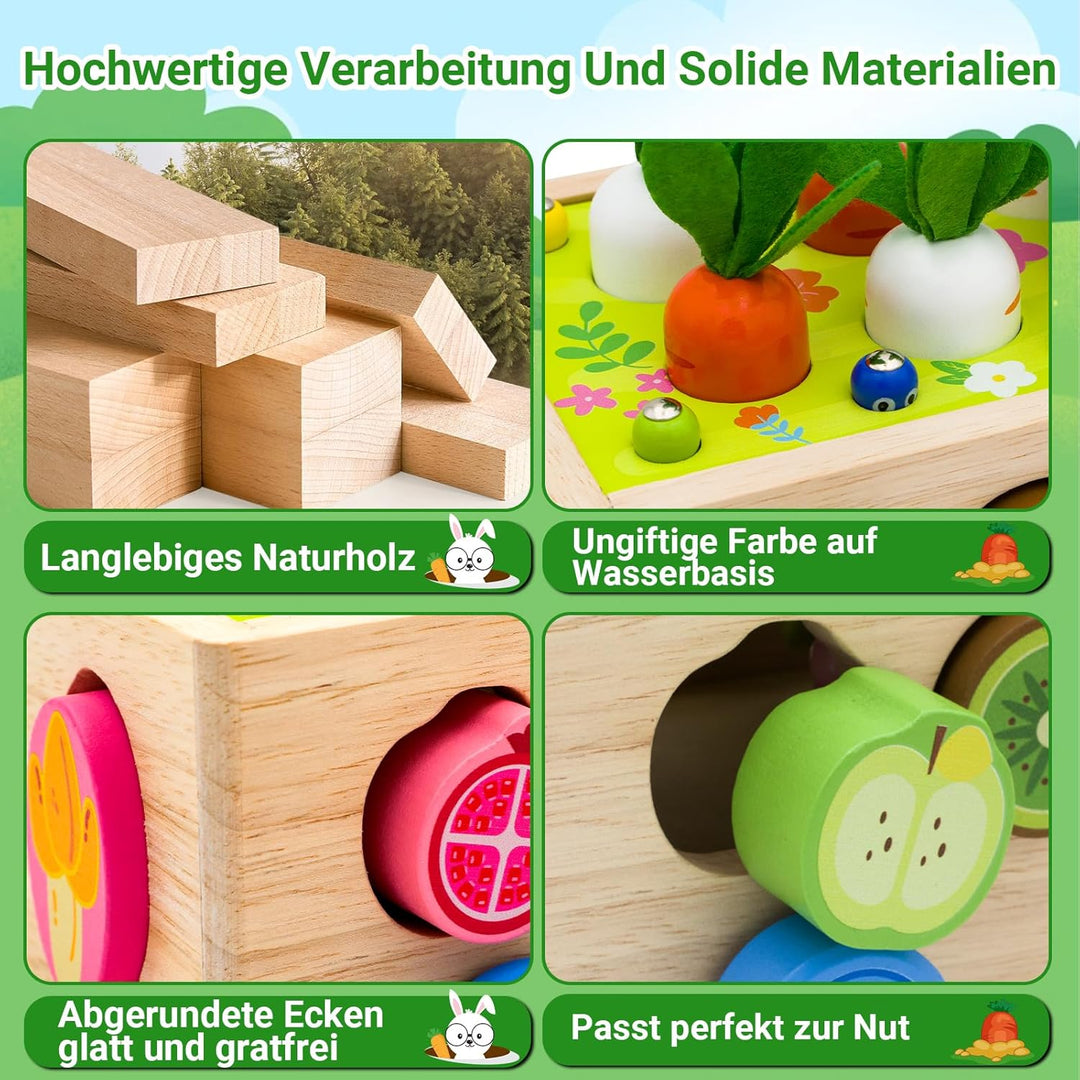 RunHero Montessori Holz Sortierspie Karotten Steckspiel Holzspielzeug ab 1 Jahr Holztiere Motorikspi