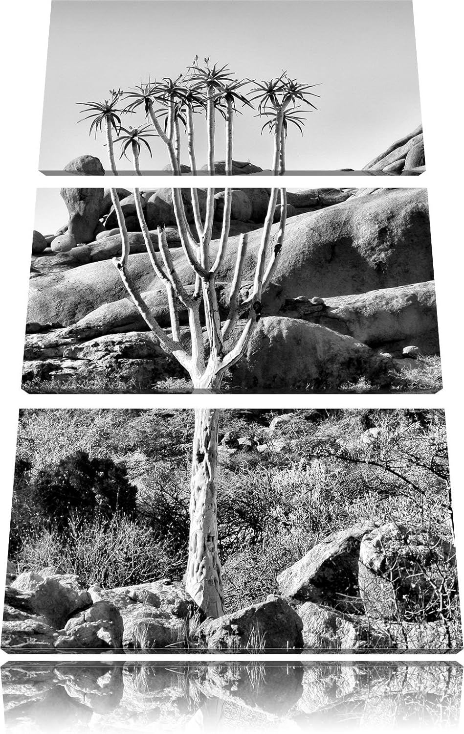 Pixxprint Baum im Steingebirge als Leinwandbild/Grösse: 3 Teilig (120x80) cm/Wandbild/Kunstdruck/fer