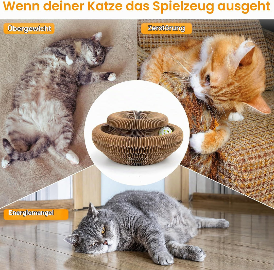 Kratzbrett Katze, 2-in-1 Cat Kratzbrett mit Glöckchen, Magische Orgel Cat Scratching Board, Zusammen