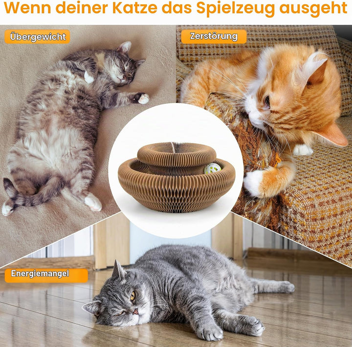 Kratzbrett Katze, 2-in-1 Cat Kratzbrett mit Glöckchen, Magische Orgel Cat Scratching Board, Zusammen