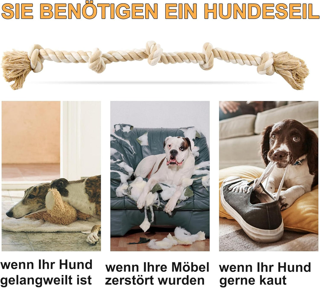 Fida Hundespielzeug aus Seil für aggressive Kauer, interaktives, robustes Hundespielzeug für mittelg