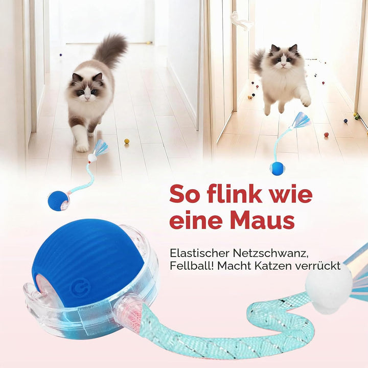 Interaktives Katzenspielzeug，Lot de 2 Katzenspielzeug，Katzenspielzeug Ball Mit Einem Blinkenden und