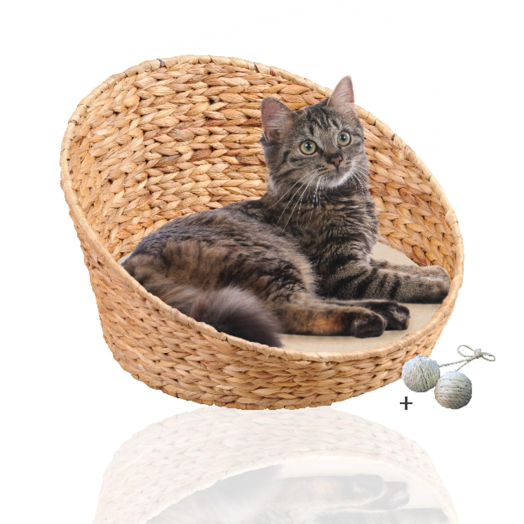 Rohrschneider ovales Katzenkörbchen, herausnehmbares Kissen, waschbar