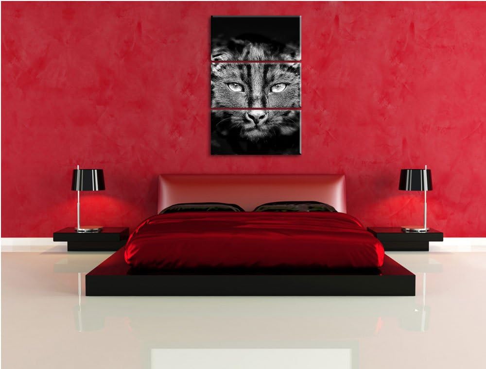 Pixxprint Monocrome, Dark schwarzes Katzengesicht 3-Teiler Leinwandbild 120x80 Bild auf Leinwand