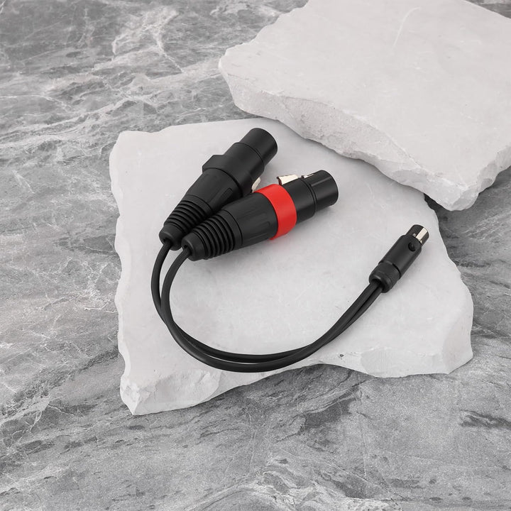 Mini-XLR 5Pin TA5F auf 2X XLR 3Pin Adapterkabel Kompatibel mit Presonus HP2 Kopfhörerverstärker
