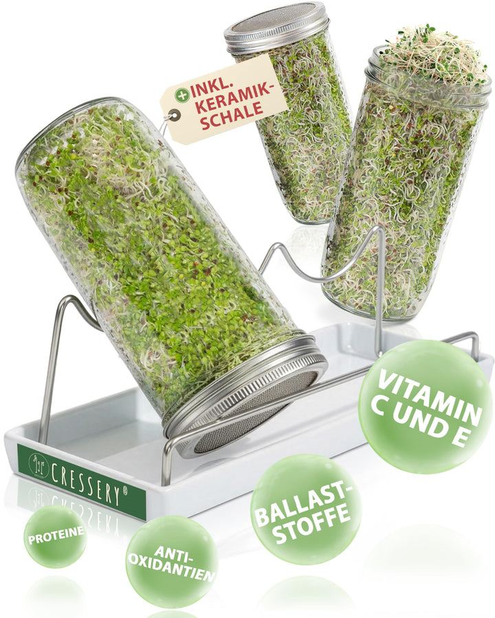 Cressery® Sprossenglas Keimglas 3er Set [grau] mit Deckel &amp; Sieb aus hochwertigem Edelstahl für Spro