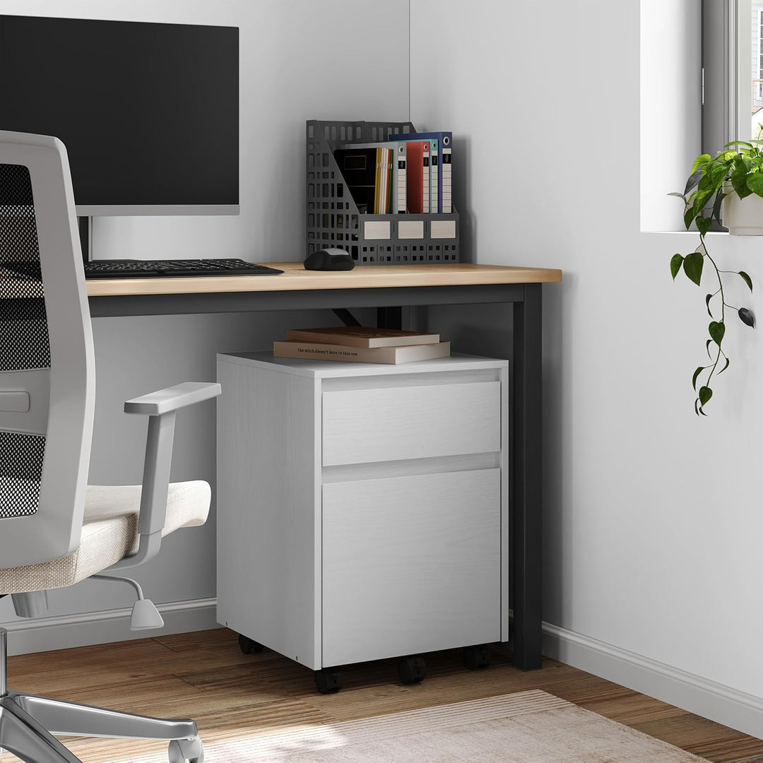 WOLTU Rollcontainer, Aktenschrank mit 2 Schubladen, mobiler Büroschrank Weiss 40x56x40 cm, Weiss 40x