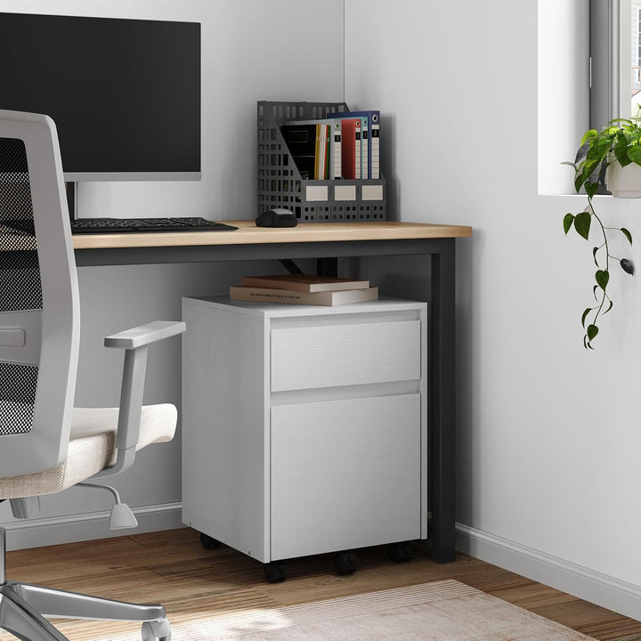 WOLTU Rollcontainer, Aktenschrank mit 2 Schubladen, mobiler Büroschrank Weiss 40x56x40 cm, Weiss 40x