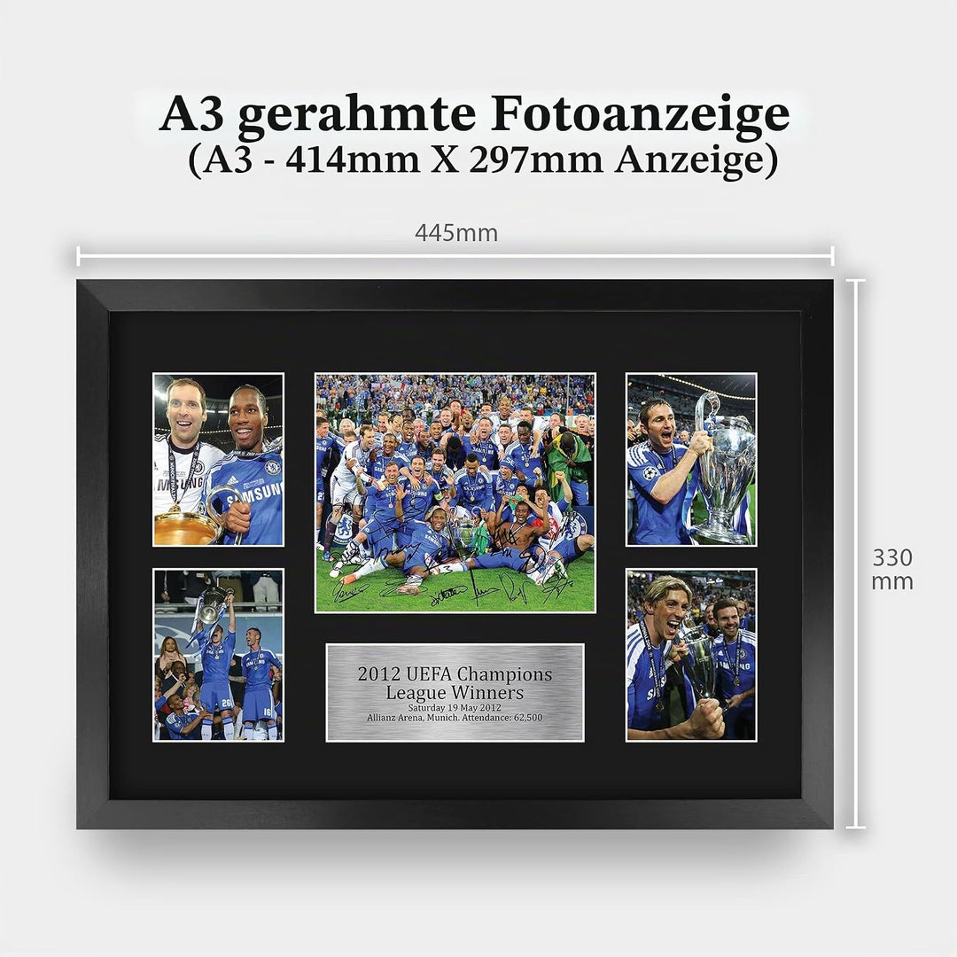 HWC Trading FR A3 Winners 2012 Gedruckte Erinnerungsstücke Signiert Autogramm Foto Display Für Fussb