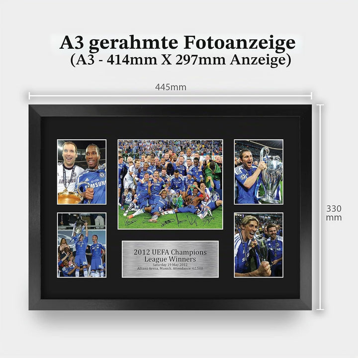 HWC Trading FR A3 Winners 2012 Gedruckte Erinnerungsstücke Signiert Autogramm Foto Display Für Fussb