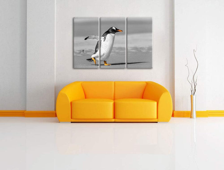watschelnder Pinguin am Strand schwarz/weiss 3-Teiler Leinwandbild 120x80 Bild auf Leinwand, XXL rie