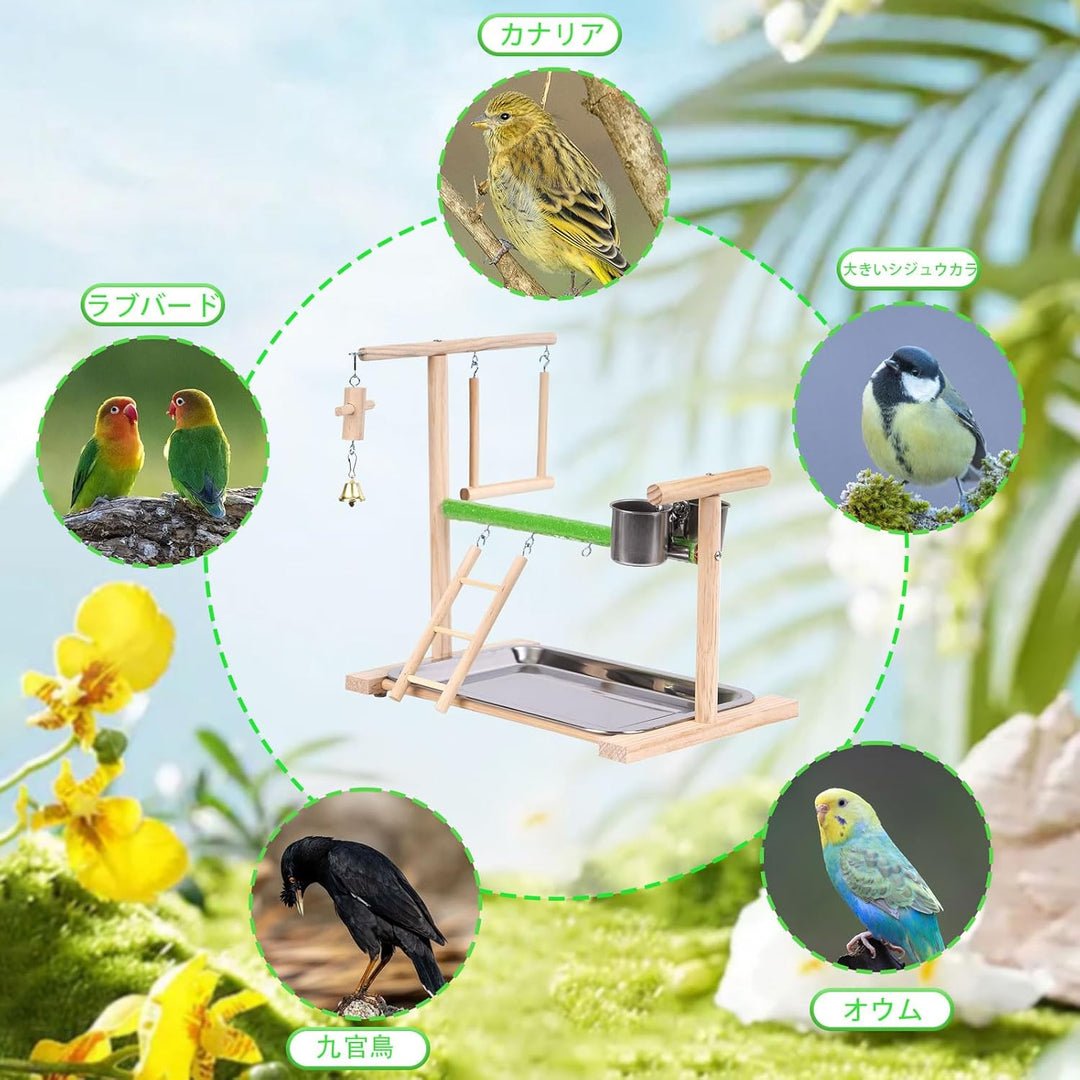 Vogel Spielplatz, Holz Wellensittich Spielplatz Freisitz mit 2 Edelstahl Feeder-Cup Spielzeug Leiter