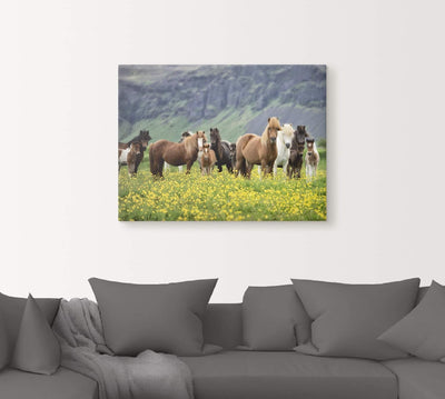 ARTland Leinwandbilder Wandbild Bild auf Leinwand 80x60 cm Wanddeko Pferd Wildpferde Herde Isländer