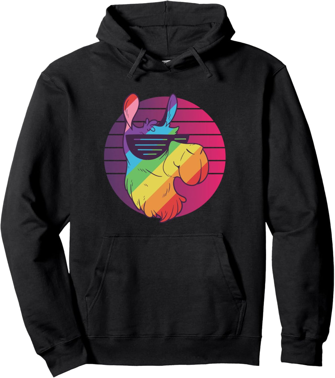 LGBT Regenbogen Gay Pride Geschenk - Bi Schuwl Lesbisch Pullover Hoodie