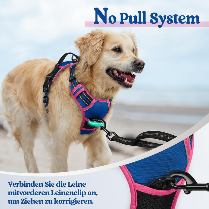 rabbitgoo Hundegeschirr Mittelgrosse Hunde, Anti Zug Geschirr mit Kontrolle, No Pull Verstellbar Hun