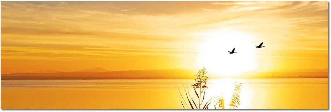 Augenblicke Wandbilder Leinwandbild als Panorama in 150x50cm See Gräser Vögel Sonnenuntergang