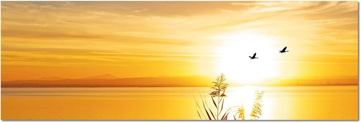 Augenblicke Wandbilder Leinwandbild als Panorama in 150x50cm See Gräser Vögel Sonnenuntergang