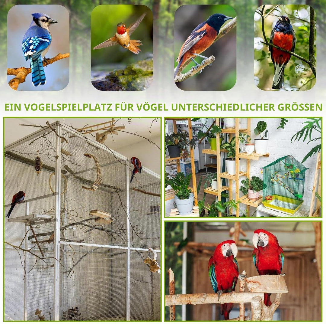 Vögel Spielplatz,Vogelspielplatz Mit Feeder Cups und Tablett,Papageien-Spielständer,Sitzstange Gym S