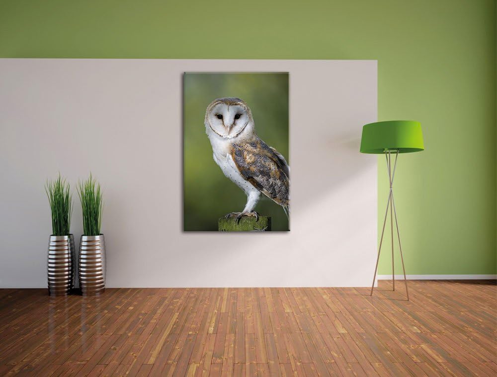 Pixxprint Eule, Format: 100x70 auf Leinwand, XXL riesige Bilder fertig gerahmt mit Keilrahmen, Kunst