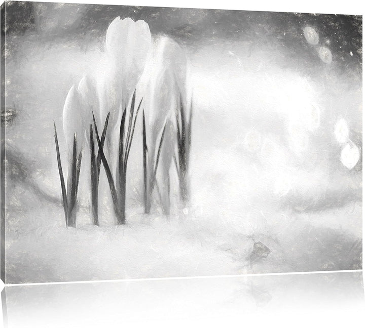 Pixxprint Schneeglöckchen im Frühjahr Kunst Kohle Effekt, Format: 100x70 auf Leinwand, XXL riesige B