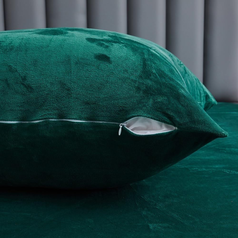 DXHOME Plüsch Bettwäsche 200x220cm Grün Dunkelgrün Winter Warme Kuschelig Flauschig Samt Bettwäsche