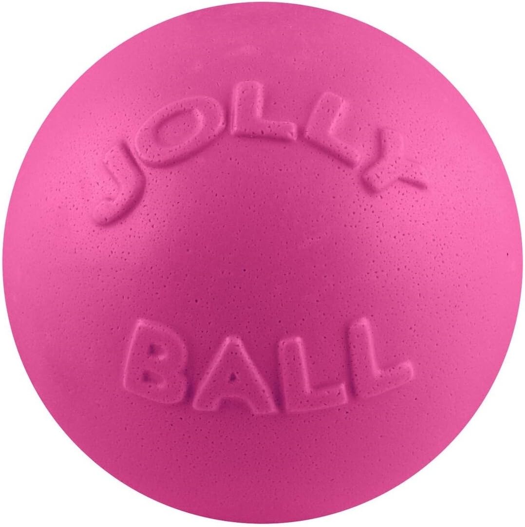 Bounce-N-Play Ball