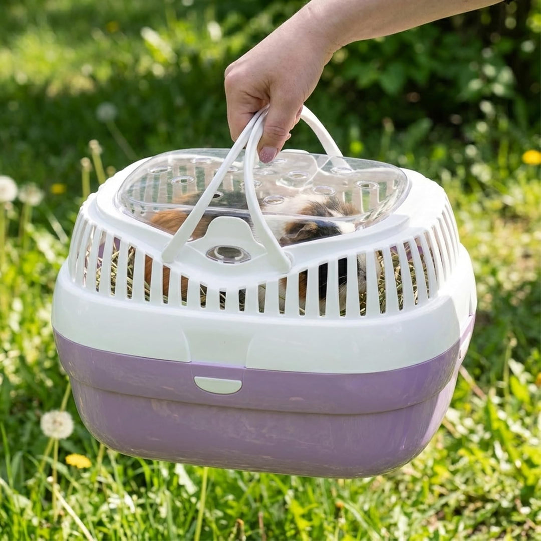 Ferplast Transportbox für Hamster und andere kleine Nagetiere Aladino Large Reisekäfig für Hamster,