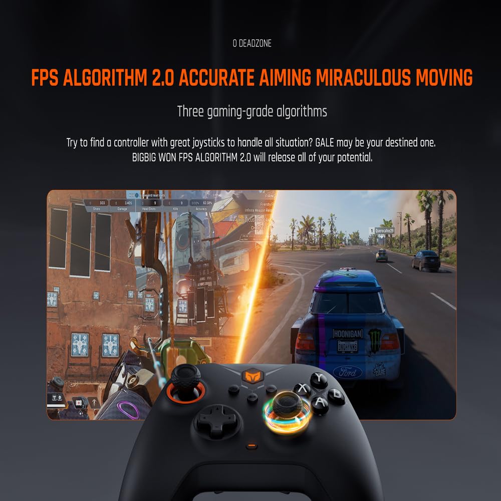 BIGBIG WON Wireless Controller Gale PC Controller Motion Zieling, Hall Trigger, 4 Benutzerdefinierte